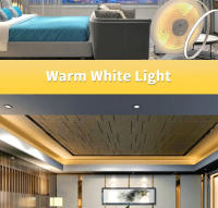 Tira De Luz LED COB Flexible DC 12V 24V 320 LEDs Blanco Cálido Y Frío Dimmable Decoración De Habitación Con 320 Lámparas Por Metro - details 13