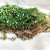 Planta Artificial De Eucalipto Falso 104cm Rattan Vinatera Para Decoración De Jardín Interior Y Exterior Bodas Y Oficinas - details 5