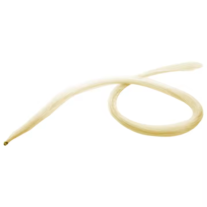 Arco de Violín de pelo natural, crin de caballo blanco, 75cm - 1