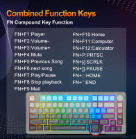 Teclado Mecánico De Juego E-YOOSO Hz82 RGB USB 8K Con Interruptores Magnéticos 82 Teclas Cable Desmontable Para PC Laptop - details 8