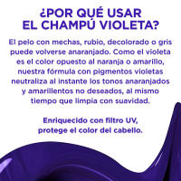 L’ORÉAL PARIS | Elvive Color Vive Champú y mascarilla Violeta Matizador para el pelo con mechas, rubio, decolorado o gris 200ml - details 0