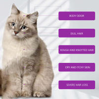 Champú para Mascotas con Aloe Vera - Alivia la Picazón + Acondicionador Antienredos (Pelo Suave y Brillante) - details 6