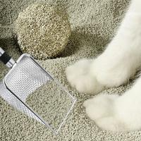 Escobilla De Arena Para Gatos De Acero Inoxidable Con Diseño De Agujeros Finos Herramienta Para Limpieza De Orina De Perros Y Conejos - details 2
