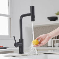 Grifo De Cocina Retráctil En Acero Inoxidable Con Manijera Para Agua Caliente Y Fría Efecto Anti-salpicaduras Para Lavado De Verduras Y Fregadero - details 1