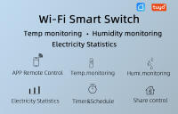 Sensor De Temperatura Y Humedad WiFi Inteligente Tuya Alexa Google Smart Life Control Remoto 433MHz Medidor De Potencia - details 1