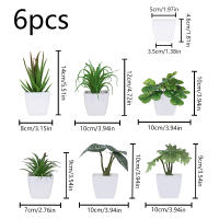 Juego De Macetas De Plástico Evergreen Para Decoración De Escritorio Y Oficina Estilo Suculentas Sin Mantenimiento Realista - details 28