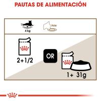 Royal Canin Ageing 12+ en gelatina 12X 85g - details 6