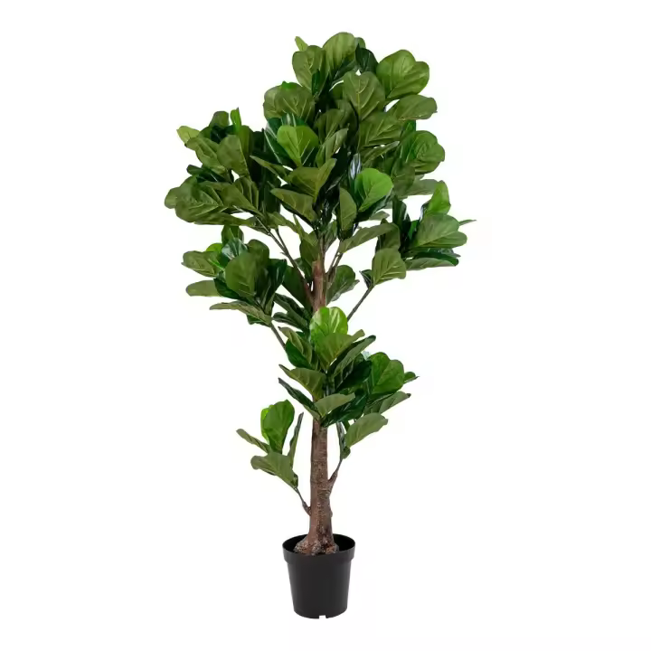 Planta Artificial Ficus Lyrata, Polietileno, Verde, 81x93x190 cm - 1