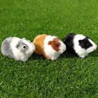 Muñeco De Peluche De Conejo De Guinea Simulación Felpa Suave Juguete De Peluche Figura De Animal Para Regalo De Cumpleaños Para Niños - details 4