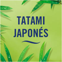 Ambi Pur | Pack 3Volution Tatami Japonés de Ambipur,  Recambio De Ambientador Eléctrico 21ml, 3 Aromas Que Se Alternan Para Eliminar Olores - details 0