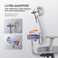 Silla Ergonómica NEWTRAL MagicH-BPro con Reposapiés, Respaldo Automático, Soporte Lumbar Adaptativo, Reposabrazos 4D, Certificada por SGS, Adecuada para el Hogar y la Oficina - details 4