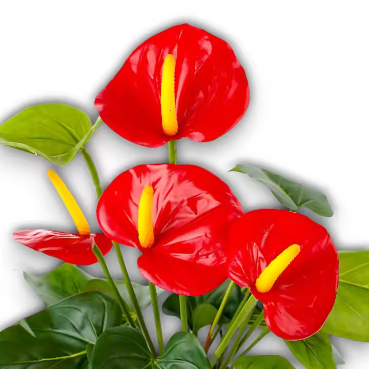 Maceta Anthurium Artificial - 72cm - Karawan. - 1