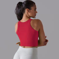 Sujetador Deportivo De 2 Niveles Para Mujer Sexy Yoga Alta Soporte Impacto Deporte Ropa Interior Correr Secado Rápido Top Deporte Gimnasio Con Almohadillas - details 17