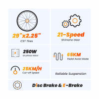 Touroll U1 Bicicleta eléctrica MTB de neumático de 29" para todo terreno con motor de 250W, batería extraíble de 36V 13Ah, alcance máximo de 65 km, engranaje de 21 velocidades Shimano, freno de disco impermeable IPX4 - details 11
