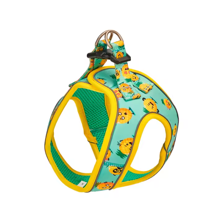 FREEDOG -  ARNES PINEAPPLE BREEZE T-S 35-40CM PERROS - 1
