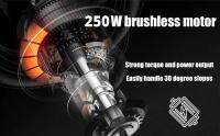 ENGWE T14 Bicicleta Eléctrica Plegable con Neumático de 14 Pulgadas, Motor sin Escobillas de 250W, Batería de 48V 10Ah, 25 km/h, velocidad máxima de 80km, Amortiguador triple, Freno de disco mecánico, rueda libre de 7 velocidades - Blanco - details 2