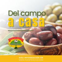 Fuenteoliva Aceite de oliva virgen extra 1 litro máxima calidad sabor autentico molino - details 0