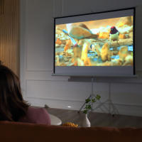 HOMCOM Pantalla para Proyector Plegable Manual 84” Pulgadas Pantalla de Proyección Formato 4:3 con Altura Ajustable Cine en Casa Presentaciones Películas 171x131 cm Blanco - details 1