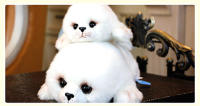Peluche De Seal Suave Y Bonito Juguete De Mundo Marino Lobo Marino Relleno De Algodón PP Regalo De Cumpleaños Para Niñas Y Niños Con Ojos Grandes - details 3