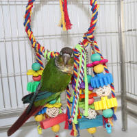 Juguetes Para Pájaros Colgantes De Anillos Y Swing Con Cordones De Madera Y Plástico Para Periquitos Juguete Mordedor De Madera Y Plástico Para Pájaros - details 2