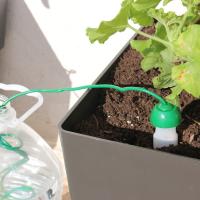 Sensor De Riego Humificador Conoplant El cono cerámico es permeable y transmite la humedad a la tierra de la maceta actuando como sensor, que a través del tubo absorbe el agua del recipiente y va regando de manera natural sus plantas. - details 3