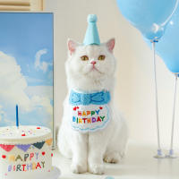 Conjunto De 2 Bandanas Y Sombrero De Cumpleaños Para Gatos Y Perros Ropa De Cumpleaños Para Mascotas Accesorios Para Fiesta De Mascotas - details 7