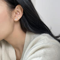 Pendientes De Crystals Zirconia Para Mujer 1Pareja De Estilo Helix Y Bone Nail Piercing En Acero Inoxidable Joyería De Regalo - details 5