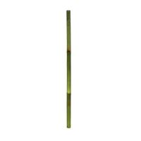 Gerimport Palo de Bambú 7 x 180 cm Verde - Decoración Natural y Versátil para Interiores y Exteriores, Ideal para Jardines, Arreglos de Plantas, Separadores de Ambientes y Proyectos Decorativos Modernos y Elegantes - details 0