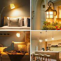 6 X Bombilla Led A55 redonda estandar 3W, luz amarilla/luz calida 3000K, casquillo grande E27, 220-240V, pack de 6 uds, Don Feliz - details 1
