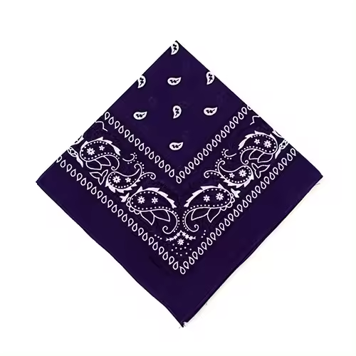 HOGARISIMO PACK 4 Pañuelo Bandana 100% Algodón cuadrado con dibujo ,Pañuelo para el Cuello, Cabeza, Muñeca ,Pañuelo Bandana 100% Algodón – Diseño Exclusivo - 1