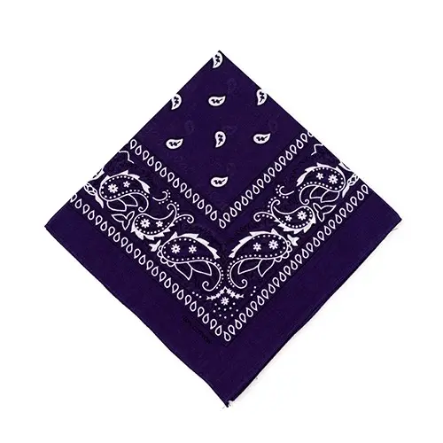 HOGARISIMO PACK 4 Pañuelo Bandana 100% Algodón cuadrado con dibujo ,Pañuelo para el Cuello, Cabeza, Muñeca ,Pañuelo Bandana 100% Algodón – Diseño Exclusivo - 1