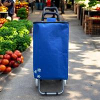Gerimport Carro de compra con compartimento refrigerante, con nevera - Capacidad de 32 Litros, 34x28x94 cm - details 2