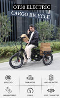 2025 Onesport Bicicleta de carga Eléctrica de 20 pulgadas OT30 48v13ah Katería de Lithium octogonal 65nm Motor 4PA Transmisión de Clase 7 - details 1