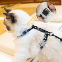 Juego De Arnes Para Gatos Y Perros Con Correa Larga Y Fijación En El Pecho Accesorios Para Mascotas Material De Algodón - details 7