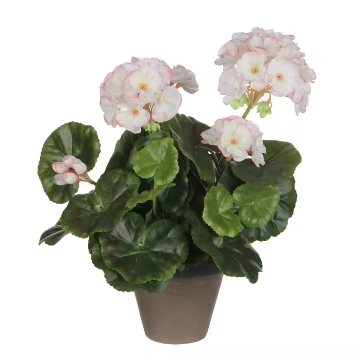 Geranio Blanco Rosa PVC con Maceta Plástica Gris de Alta Calidad y Efecto Natural 11 5x33cm para Muebles de Exterior - 1