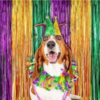 2 Pack Cortinas De Foil Mardi Gras Con Borlas Metálicas Para Decoración De Fiestas De Cumpleaños Boda Y Decoraciones De Fiesta Mardi Gras - details 4