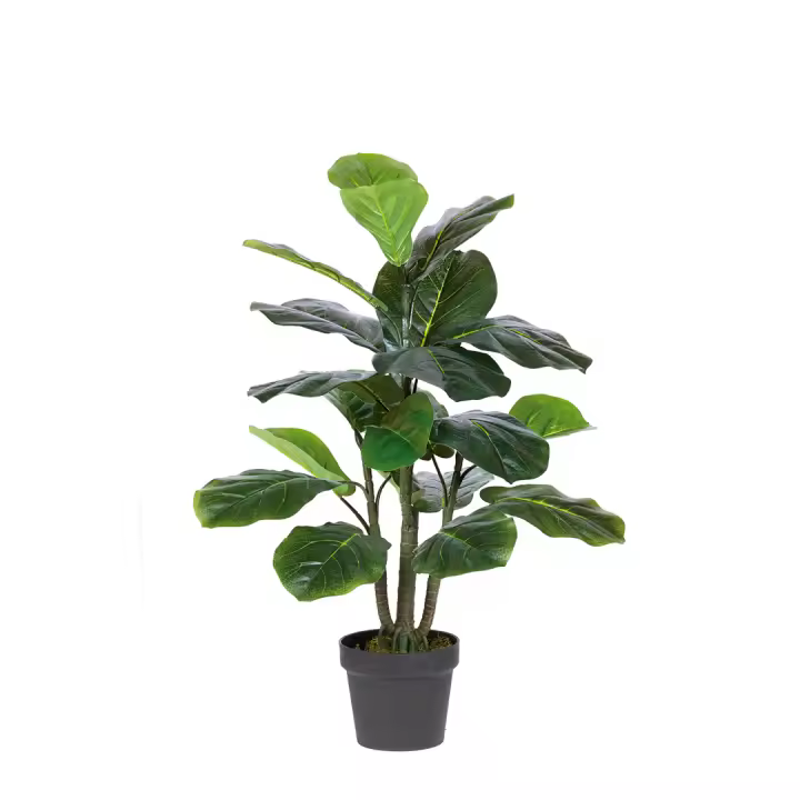 Nortene | Planta Artificial Ficus Lyrata 90cm Nortene | Ideal Para Decoración | Planta Artificial Grande Y Realista | Aporta Un Toque Natural A Tu Hogar - 1