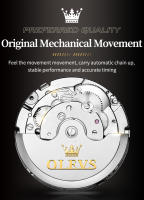 Reloj Mecánico Automático Para Hombre OLEVS 6678 Lujo Original Con Calendario Fase De La Luna Y Flywheel Skeleton Resistente Al Shock Agua Acero Inoxidable - details 12
