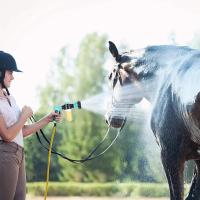 Pistola De Ducha Para Mascotas Con Mangos De Spray De 8 En 1 Herramienta De Limpieza Para Coches Y Animales Material Plástico - details 7