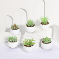 XIYA FLOWER Plantas Artificiales En Maceta De PE Y PP Para Decoración De Hogar Y Fiestas Plantas De Juego De 6 Piezas Estilo Grama - details 6