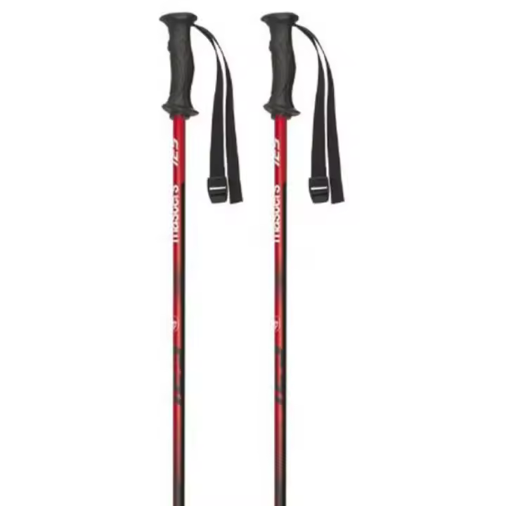 Masters Bastones Rental Carbon Plateado Unisex Adulto - 1