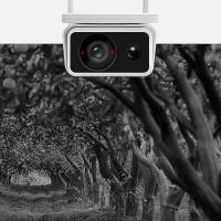 Cámara Solar Wifi Exterior 4MP Con Visión Nocturna En Color Protección De Seguridad CCTV IP PIR Visión Infrarroja 160° Para IOS Y Android - details 8