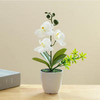 Mini Bonsai Simulado Phalaenopsis Plantas Artificiales En Vaso Para Decoración De Escritorio Comedor Oficina Hogar Y Bodas - details 3