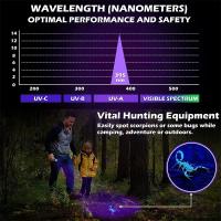 Luz UV Rechargeable USB 395nm Blacklight Zoomable Para Detectar Orina De Mascotas Y Curinga De Resina Luz Ultravioleta Para Defensa Personal - details 1