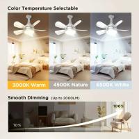 Ventilador De Techo 16 Pulgadas 2-en-1 Con Luz Y Control Remoto Luz Dimmable E27 Soporte Para Dormitorio Sala De Estar Cocina Oficina Baño - details 2
