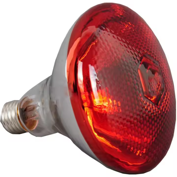 Lámpara de infrarrojos a prueba de explosiones 250W-impermeable Gruesos - 1