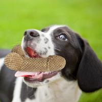 Juguetes Para Morder De Nylon Tejido En Red Para Perros Pequeños Y Medianos Anti-Rotura Suaves Para Aliviar La Ansiedad Y Aburrimiento - details 7