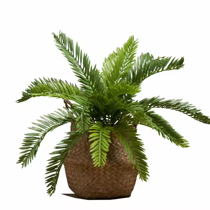 Árbol De Palma Artificial 45cm Con 18 Hojas Hojas De Monstera Tropicales Falsas Plantas De Sago Cycas Para Decoración De Jardín Interior Y Exterior - 1