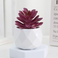 Evergreen Artificial Suculentas Simulación De Plantas Falsas Pequeñas En Macetas Cactus Bonsái Para El Hogar Material Plástico - details 10