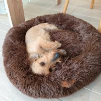 Cama Golden 22k Donut para Gatos y Perros Pequeños (Diámetro 60cm) - Alta Calidad y Antideslizante - details 4